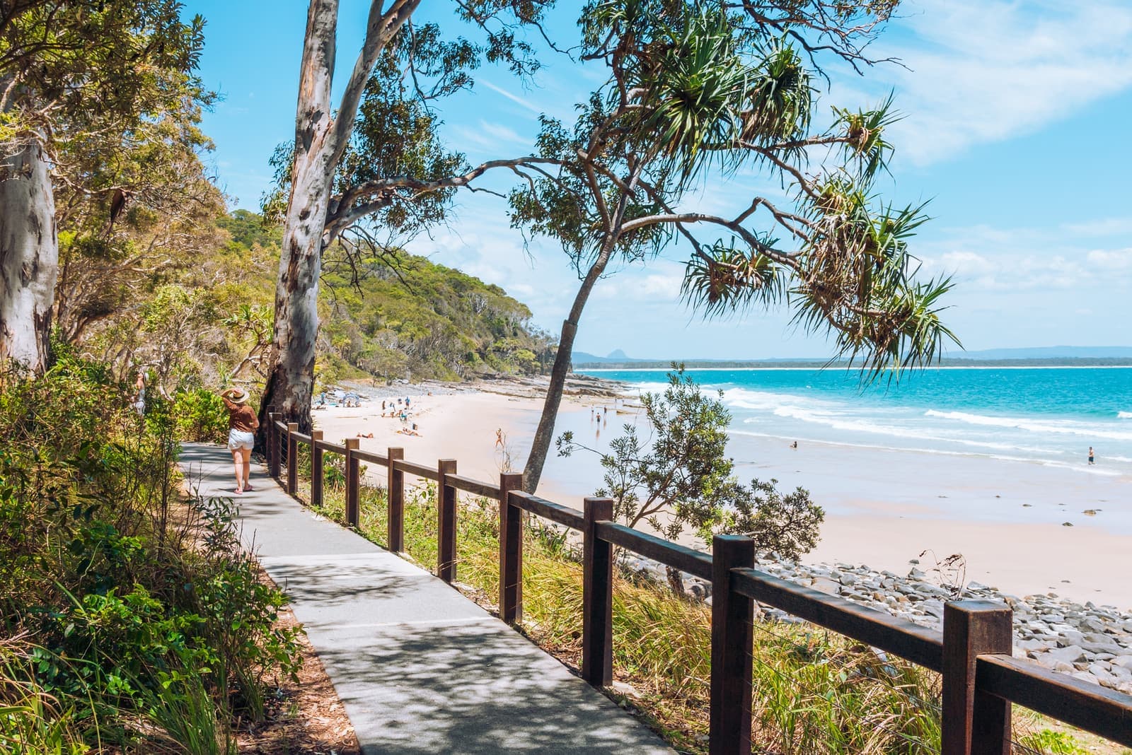 The coastal walk in Noosa National Park, with the path running above Tea Tree Bay and the beach and headland beyond